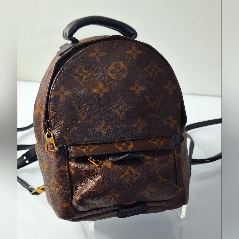 Louis Vuitton backpack